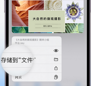 怀远apple维修中心分享iPhone文件应用中存储和找到下载文件