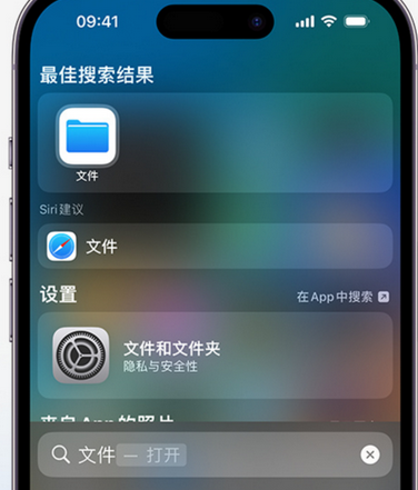 怀远apple维修中心分享iPhone文件应用中存储和找到下载文件 