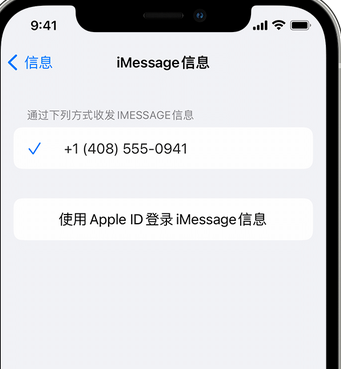 怀远apple维修iPhone上无法正常发送iMessage信息 