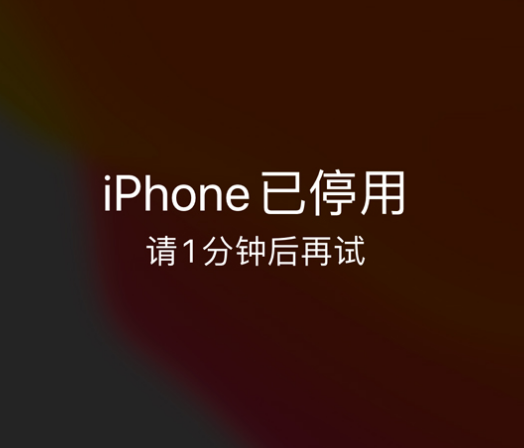 怀远苹果手机维修分享:iPhone 显示“不可用”或“已停用”怎么办？还能保留数据吗？ 