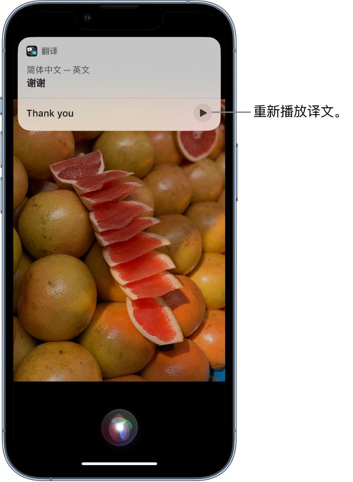 怀远苹果14维修分享 iPhone 14 机型中使用 Siri：了解 Siri 能帮你做什么 