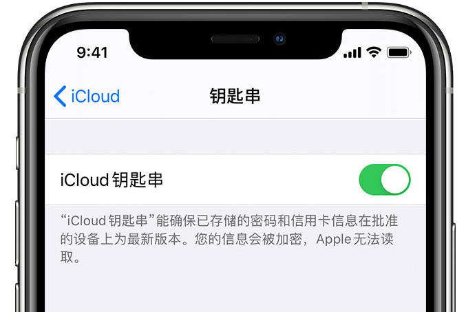 怀远苹果手机维修分享在 iPhone 上开启 iCloud 钥匙串之后会储存哪些信息 