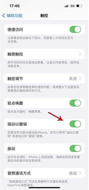 怀远苹果手机维修分享iPhone手机如何设置摇一摇删除文字 